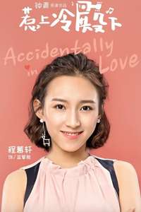 Accidentally in Love - Posters