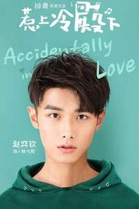 Accidentally in Love - Posters