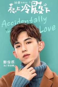 Accidentally in Love - Posters