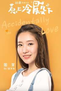 Accidentally in Love - Posters