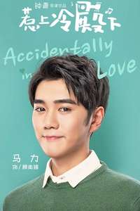 Accidentally in Love - Posters