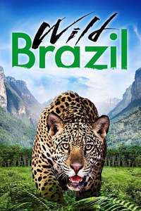 Wild Brazil - Poster