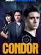 Condor
