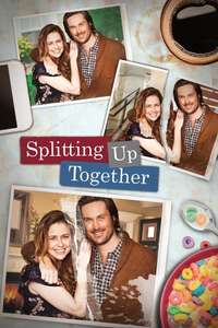 Splitting Up Together - Posters