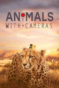 Animals with Cameras - Poster