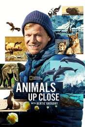 Animals Up Close with Bertie Gregory Season 1