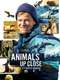 Animals Up Close with Bertie Gregory : Season 1