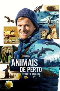 Animals Up Close with Bertie Gregory - Posters