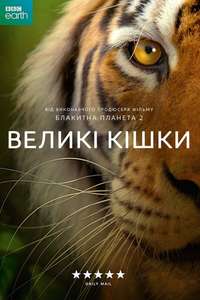 Big Cats - Posters