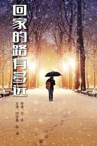 回家的路有多远 - Poster