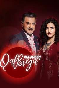 Dil Sambhal Jaa Zara - Posters