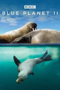 Blue Planet II - Posters
