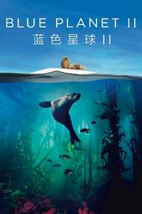 Blue Planet II - Posters