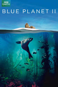 Blue Planet II - Posters