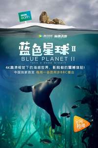 Blue Planet II - Posters