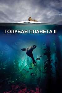 Blue Planet II - Posters
