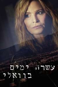Ten Days in the Valley - Poster