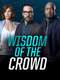 Wisdom of the Crowd