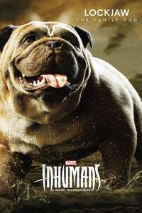 Marvel's Inhumans - Posters