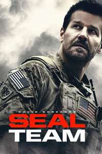 SEAL Team - Posters