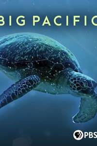 Big Pacific - Posters