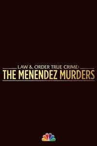 Law & Order True Crime - Posters