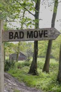 Bad Move - Poster