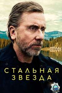 Tin Star - Posters