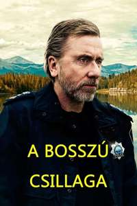 Tin Star - Posters