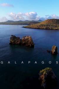 Galapagos - Posters