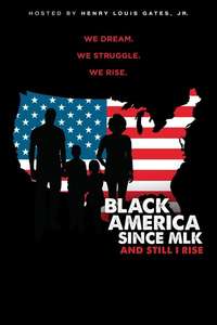 Black America Since MLK: And Still I Rise - Poster