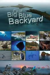 Our Big Blue Backyard