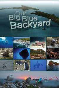 Our Big Blue Backyard - Poster