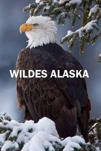 Alaska: Earth's Frozen Kingdom - Poster