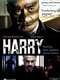 Harry (2013)