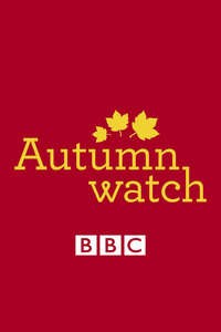 Autumnwatch - Posters