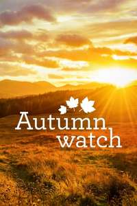 Autumnwatch - Posters