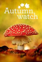 Autumnwatch
