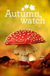 Autumnwatch - Posters