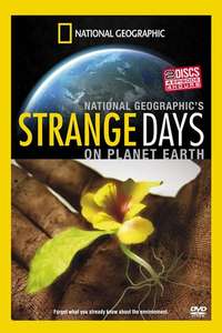 Strange Days on Planet Earth - Poster