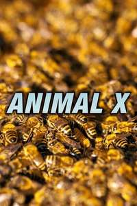 Animal X - Poster