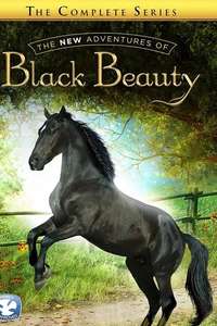 The New Adventures of Black Beauty - Poster