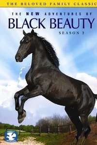 The New Adventures of Black Beauty - Poster