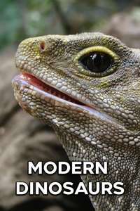 Modern Dinosaurs - Poster