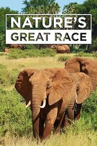 Nature's Great Race - Poster