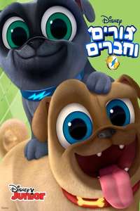 Puppy Dog Pals - Posters