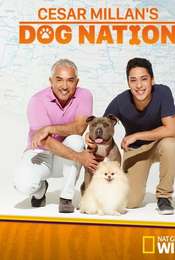 Cesar Millan's Dog Nation