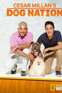 Cesar Millan's Dog Nation - Poster