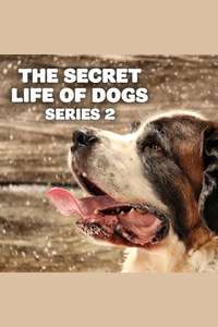 The Secret Life of Dogs - Series 2 - Posters