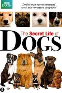 The Secret Life of Dogs - Series 2 - Posters